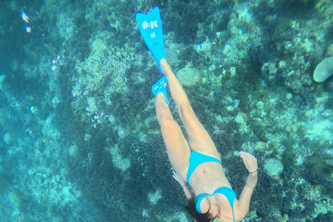 Snorkeling and Sunrise Boat Tour