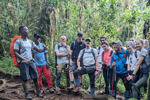 MEJOR EXCURSIÓN AL KILIMANJARO OFERTA RUTA MARANGU EN UN DÍA