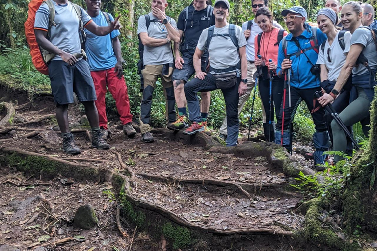 MEJOR EXCURSIÓN AL KILIMANJARO OFERTA RUTA MARANGU EN UN DÍA