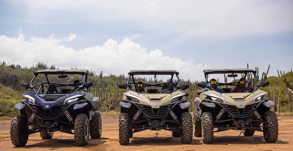 Curacao: Offroad UTV/Buggy Adventure