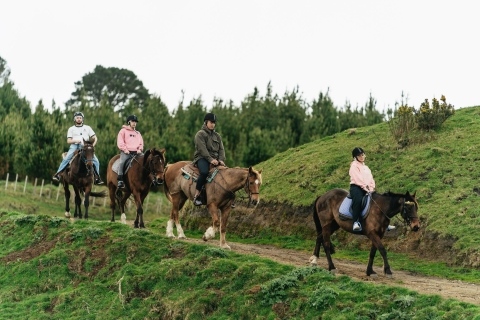Rotorua: Experiencia guiada de senderismo a caballo