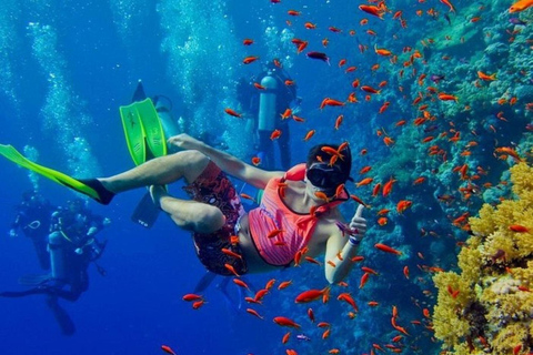 زنجبار: جولة خاصة في جزيرة منيمبا المرجانيةجولة خاصة بدون استلام أو توصيل من الفندق بدون غداء