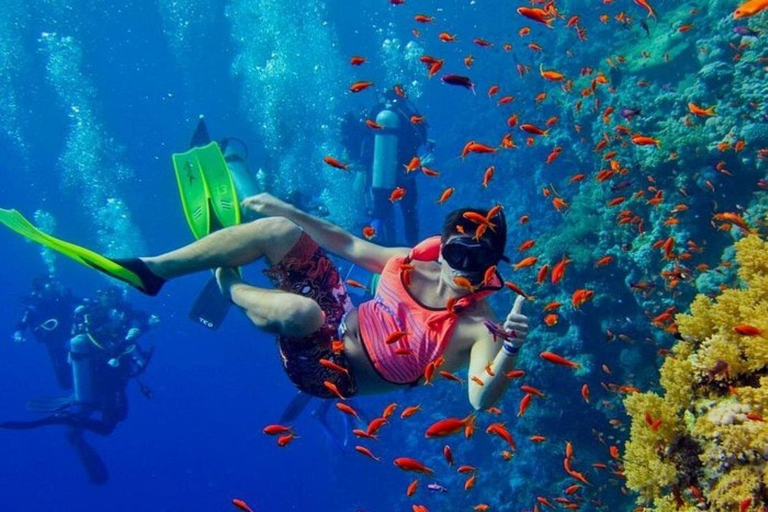 زنجبار: جولة خاصة في جزيرة منيمبا المرجانيةجولة خاصة بدون استلام أو توصيل من الفندق بدون غداء