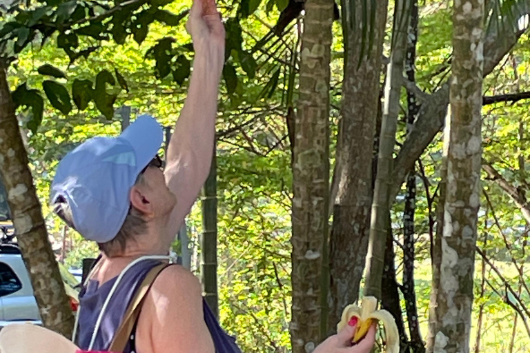 Playa Mantas: Tour guiado de mergulho com snorkel pela manhã perto da praia de JacóPraia Mantas: Tour guiado de mergulho com snorkel pela manhã perto da praia de Jacó