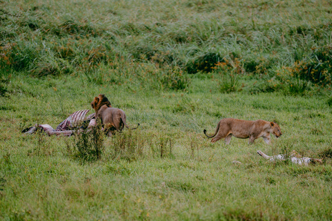 Kigali: Akagera National Park Safari with Boat Cruise