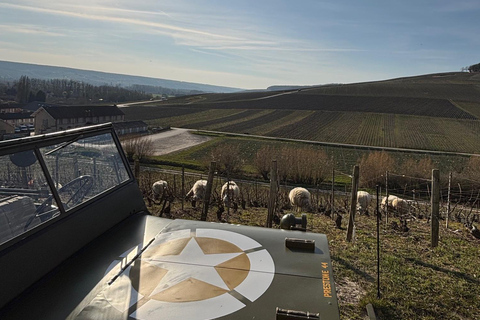 Epernay: Jeep tour of the vineyards with tasting and visits