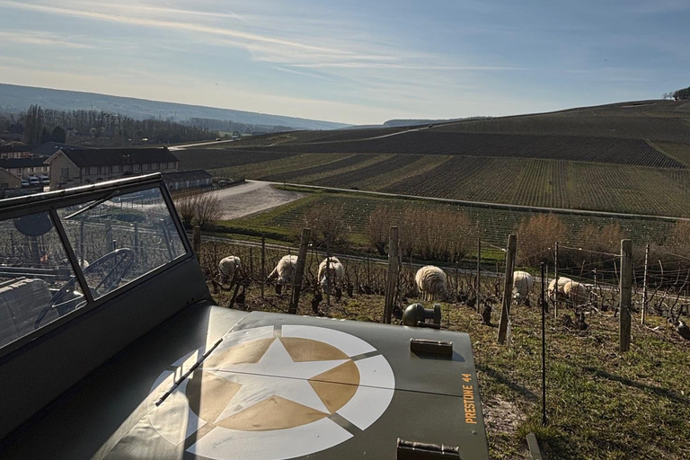 Epernay: Jeep tour of the vineyards with tasting and visits