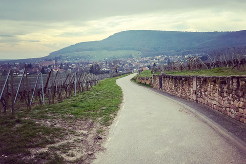 Alsace: Private Wine Tour with Tastings and Transfers Half Day Tour