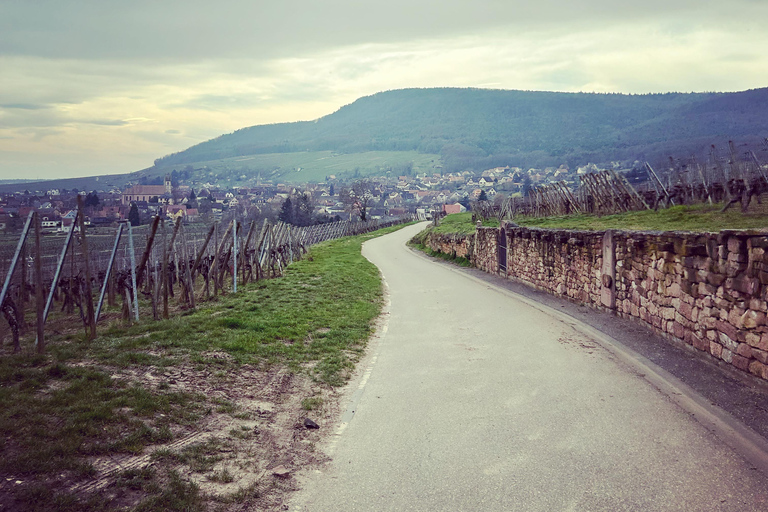 Alsace: Private Wine Tour with Tastings and Transfers Half Day Tour