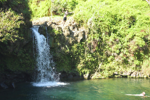 From Maui: Road to Hana Rainforest and Waterfall Experience