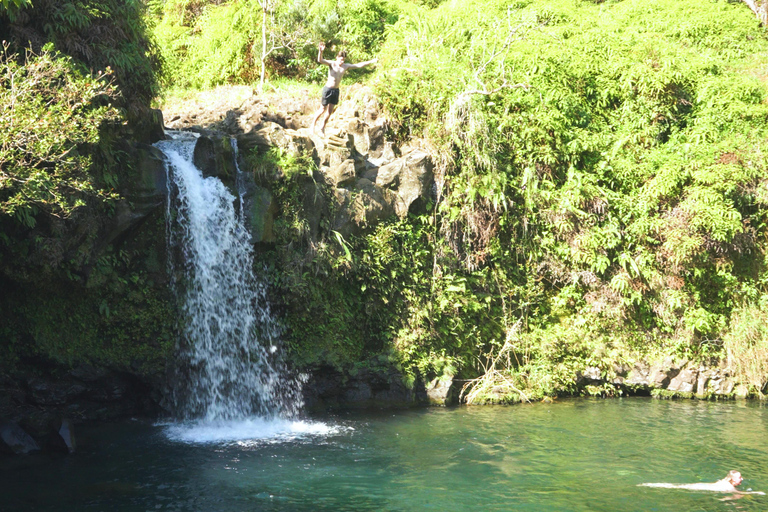 From Maui: Road to Hana Rainforest and Waterfall Experience