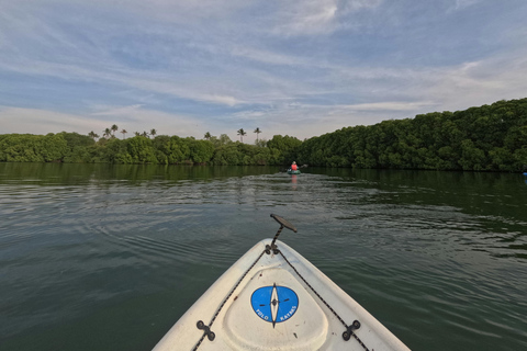 阿布扎比红树林皮划艇之旅（含酒店接送）