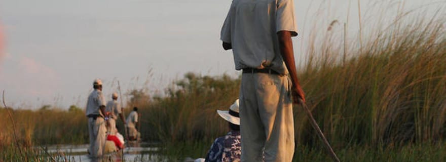 Visite d'une jounée de l'Okavango en mokoro