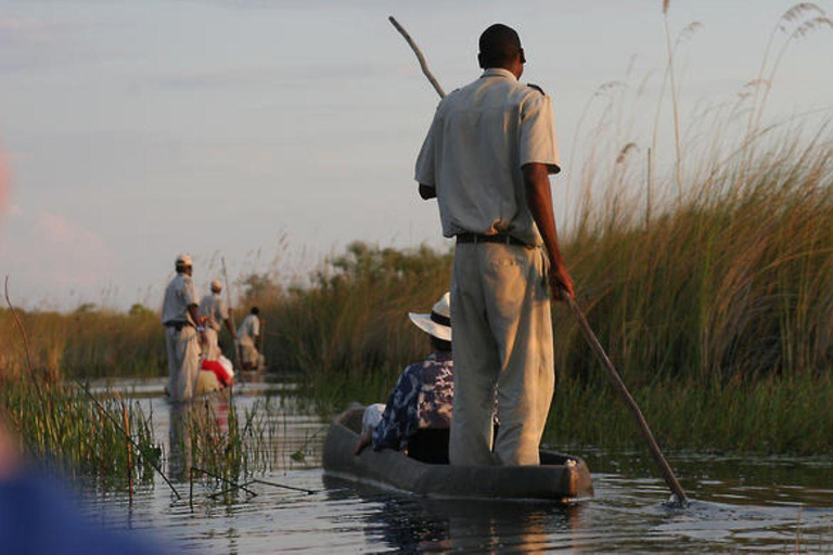 Tour de día completo en Mokoro por el Okavango