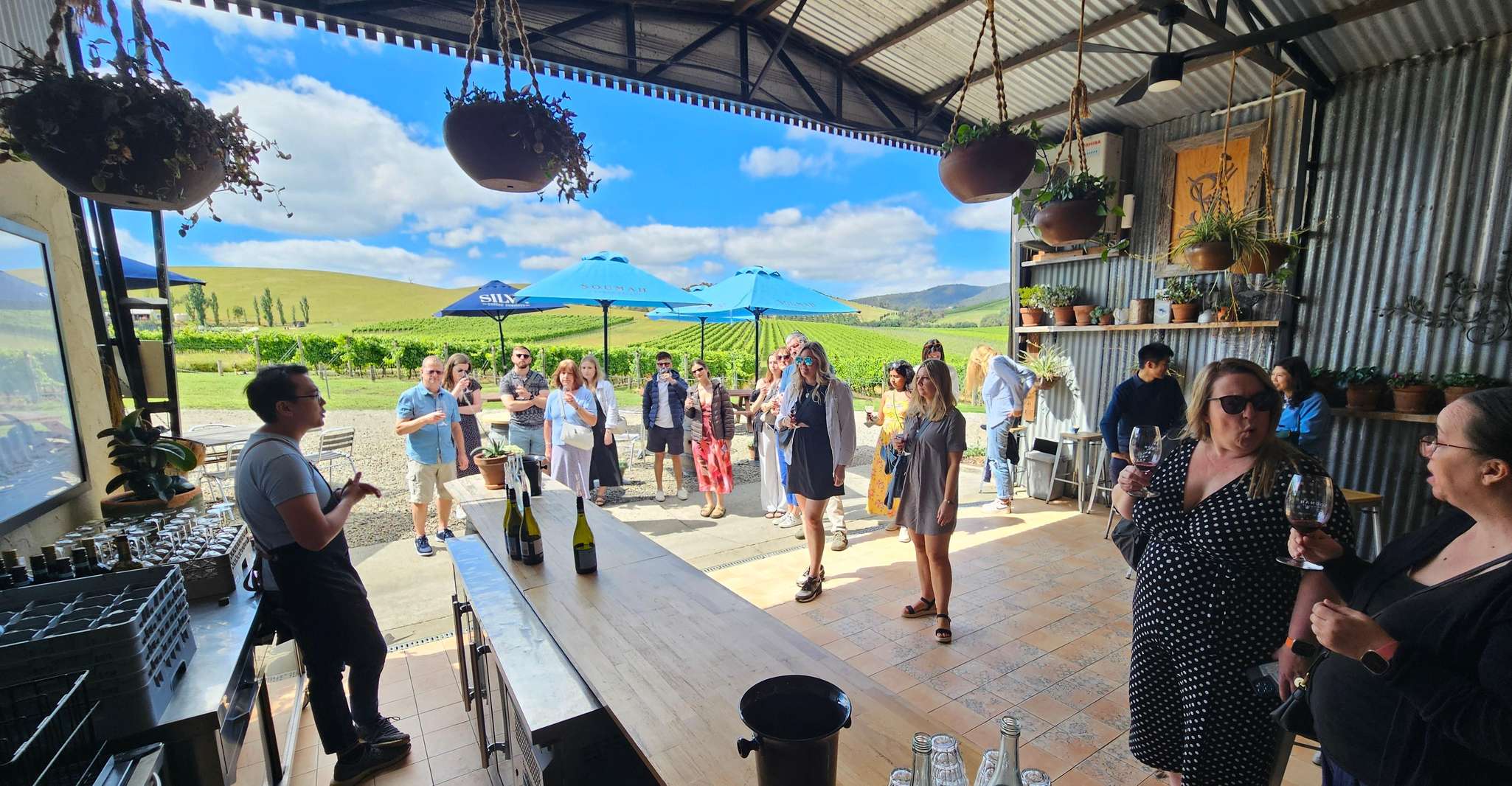 Melbourne: Yarra Valley Wine, Gin, Whisky and Chocolate Tour photo 1