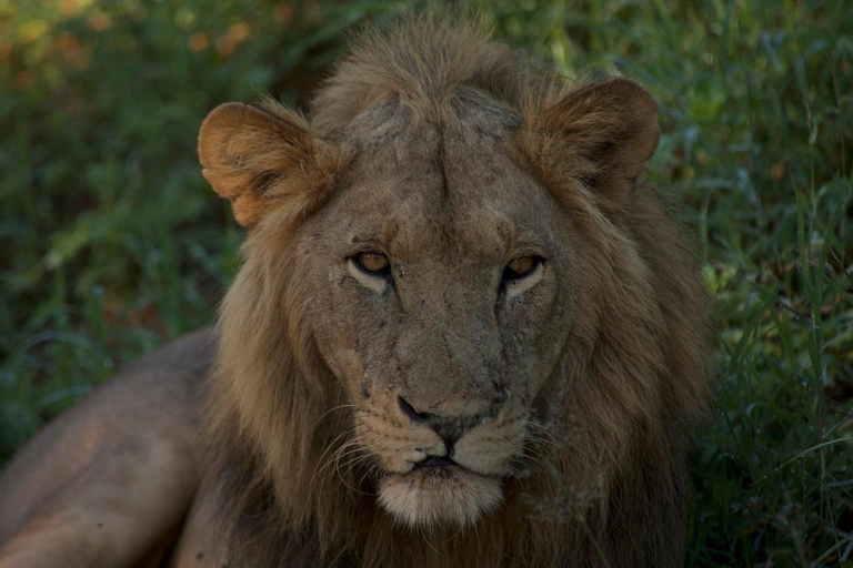 مغامرة لمدة 3 أيام من دار السلام إلى حديقة ميكومي الوطنية