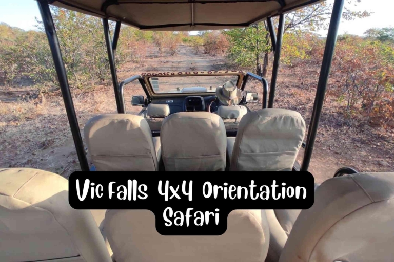 Victoria Falls : Safari d'orientation 4x4 aux chutes VictoriaChutes Victoria : Safari d'orientation en 4x4