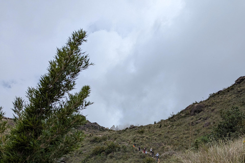 Rio de Janeiro ou São Paulo : circuit de 3 jours dans le parc national d'Itatiaia