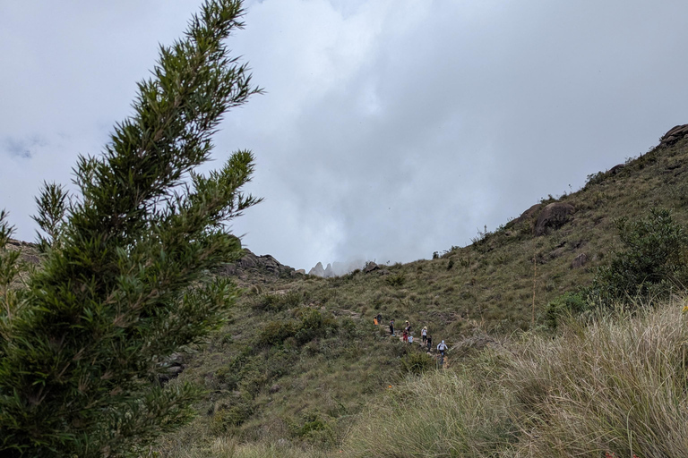 Rio de Janeiro ou São Paulo : circuit de 3 jours dans le parc national d'Itatiaia