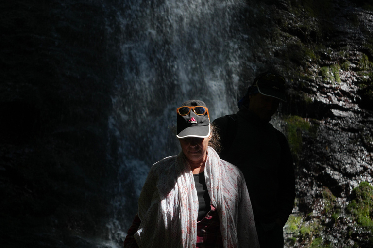 Oaxaca: Hiking Tour In the Sierra Norte With Lunch