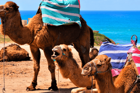 Tangier Day Adventure: From Casablanca