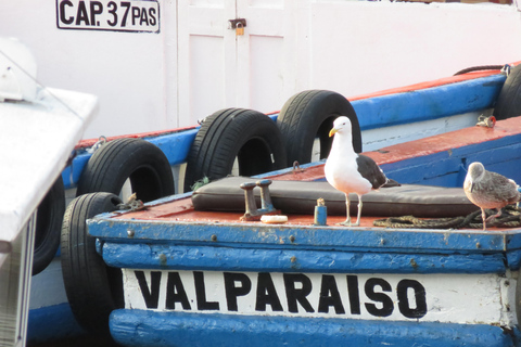 Viña del Mar + Valparaíso + 2 Vinícolas ººº Tour Particular