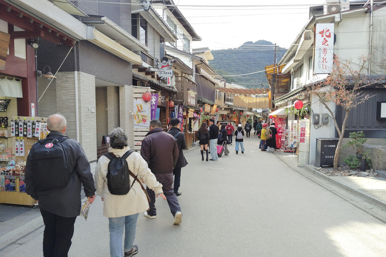 Hiroshima: 5.5-Hour Highlights Tour with Professional guide
