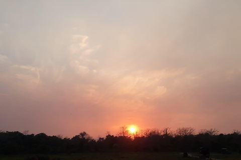 Au départ de Pokhara : 2 jours de safari dans le parc national de Chitwan