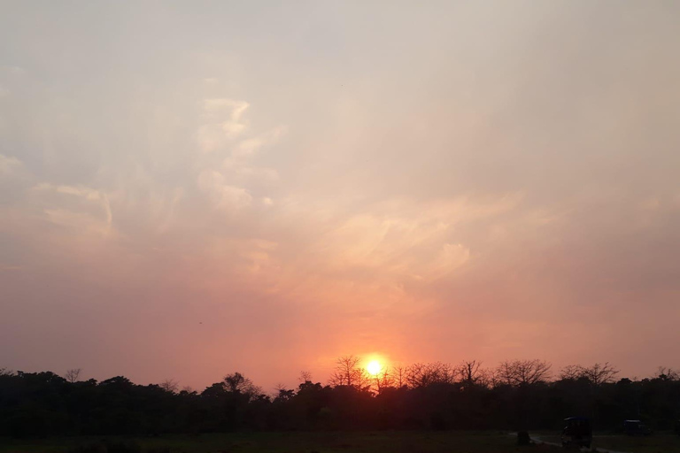 Desde Pokhara: Safari de 2 días por el Parque Nacional de Chitwan