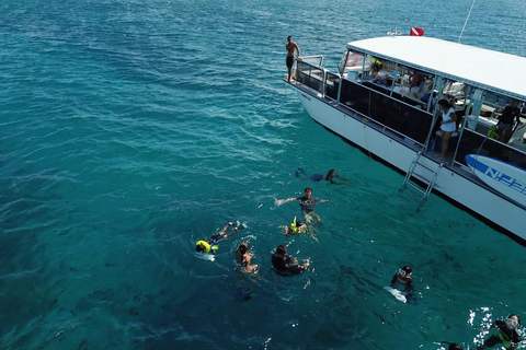Honolulu: Group Snorkel Cruise with Marine Life Spotting