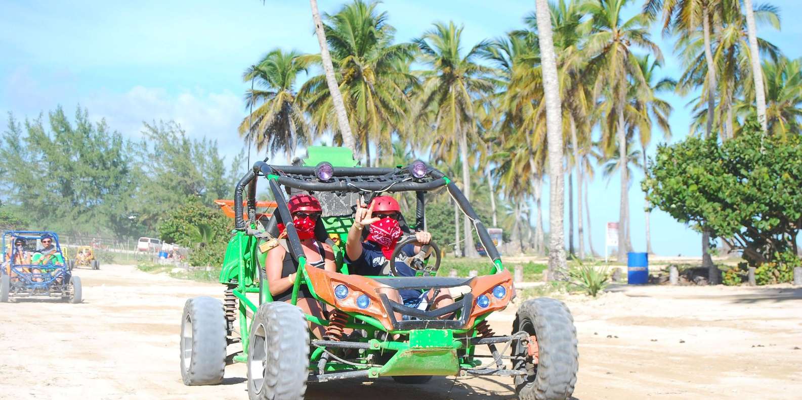 Palm beach buggy online