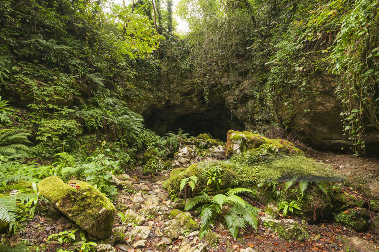 From Batumi: Private Prometheus and Sataplia Caves Day Tour