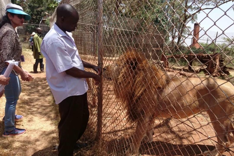 Visite de l&#039;orphelinat de Nairobi, SafariWalk et Bomas of KenyaExcursion d&#039;une journée à Nairobi : orphelinat, safari et bomas