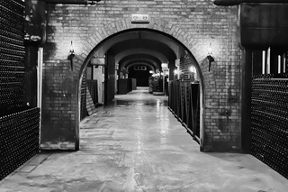 Franciacorta: Visita alla cantina e degustazione