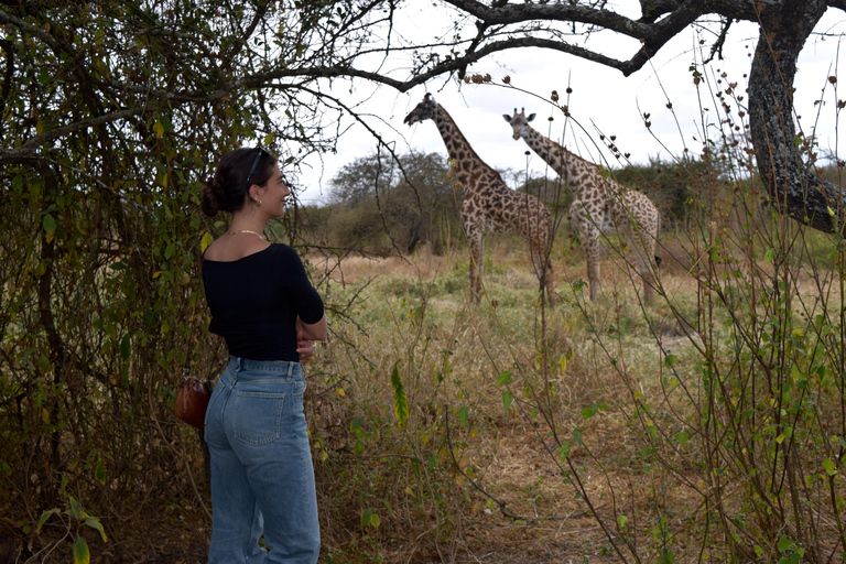 Arusha: Paseo con jirafas