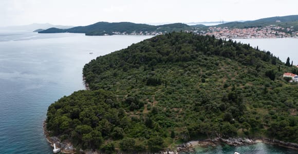 Zadar: Swim and sonrkel at the gorgeous bays