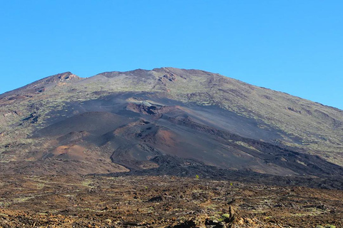 Do sul de Tenerife: Excursão de meio dia ao Monte TeideServiço de busca nos pontos de encontro no sul de Tenerife