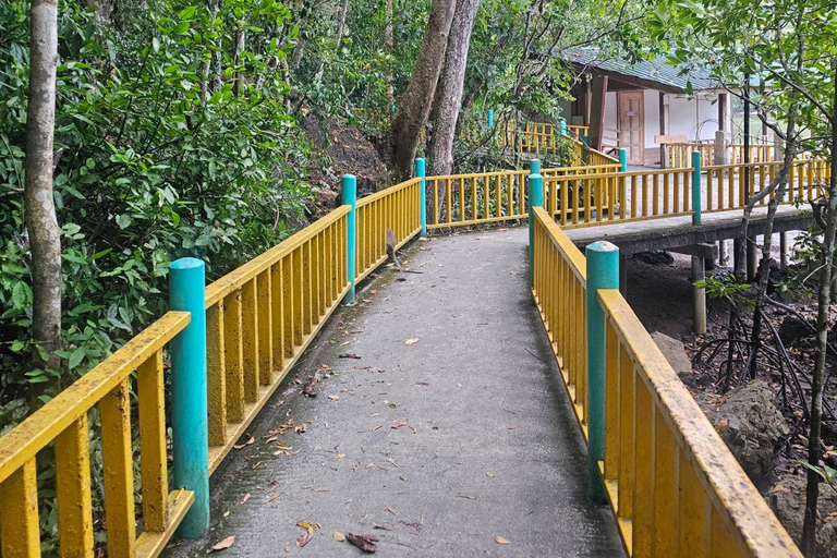 Langkawi: 3-Hour Shared Kilim Geoforest Mangrove Boat Tour