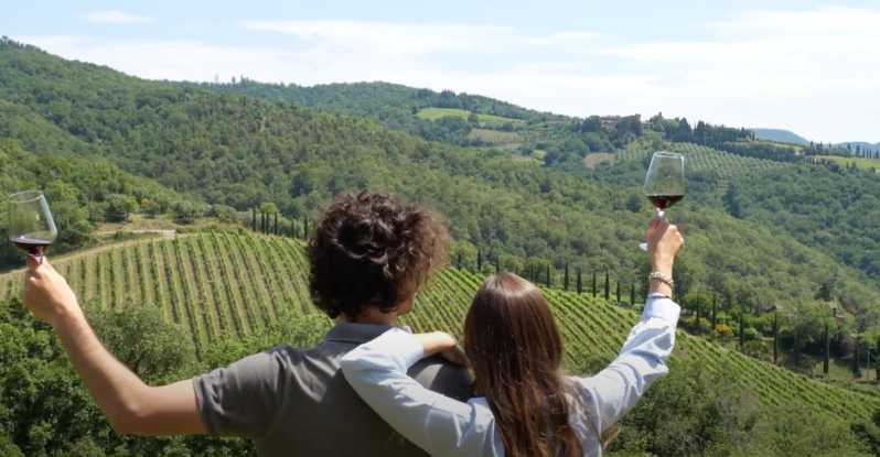 Van Siena/Chianti: Diner en drankjes in de wijngaarden van de Chianti