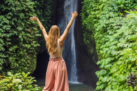 Bali : Visite du nord de Bali avec Jatiluwih, Ulun Danu, chutes d&#039;eau.