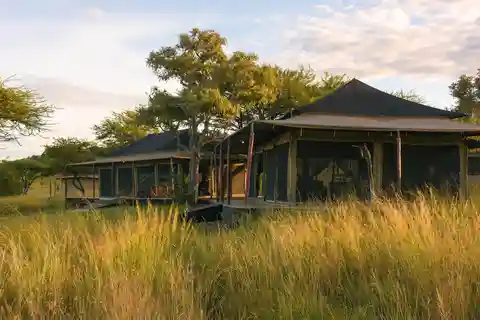 5 días de exploración y encuentros con la vida salvaje