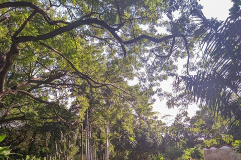 Santa Marta: Historic City Tour and Quinta de San Pedro Alejandrino