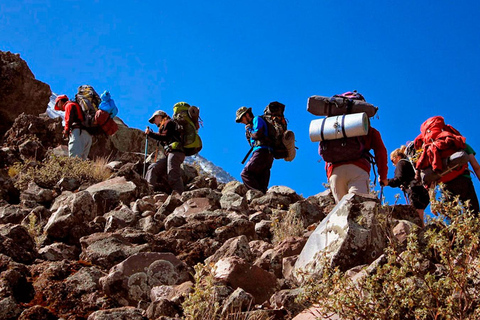 De Arequipa: acampamento e caminhada de 2 dias no vulcão Misti