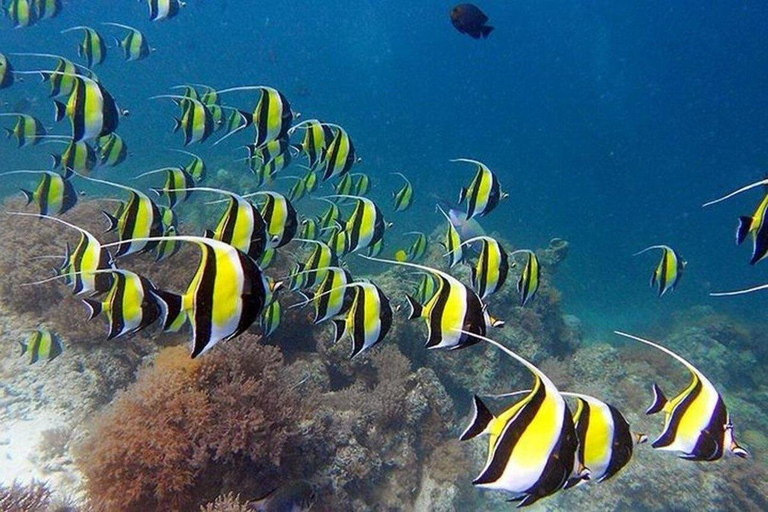 Raj Mnemba; snorkling ze skuterem wodnym z plaży Kendwa