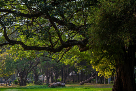 Walk and Explore Old Bangalore City: Guided Tour with Tuktuk