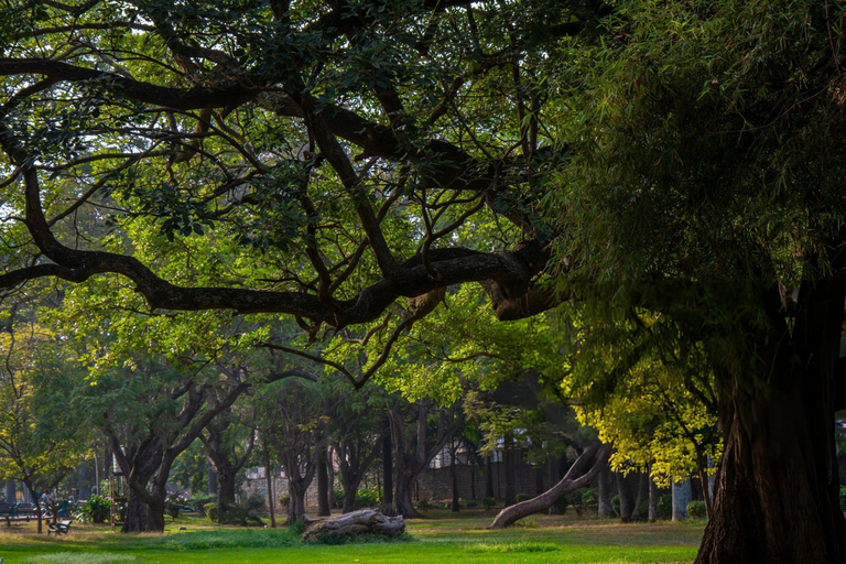Walk and Explore Old Bangalore City: Guided Tour with Tuktuk
