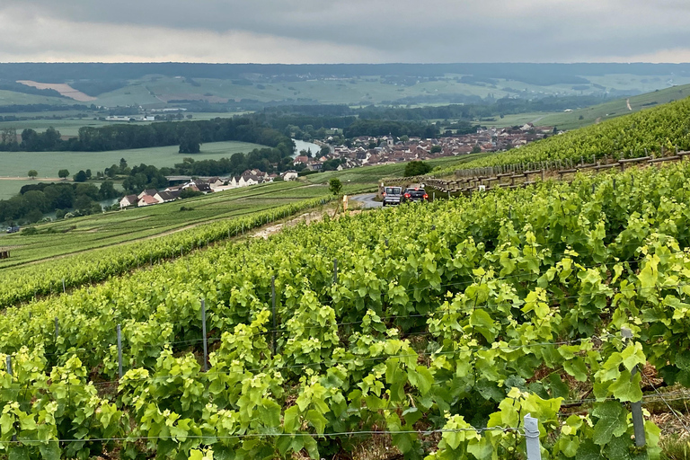 Paris, Frankrike Ruinart och Veuve Clicquot Champagne Tour med MercedesAvancerat alternativ