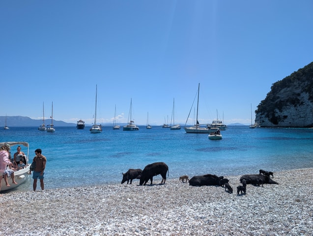 Nydri: All-Inclusive-VIP-Piggy-Cruise & schwimmende Schweine