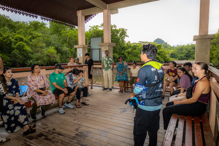 Langkawi:6 Hours Mangrove Night Safari with Pick Up & Dinner