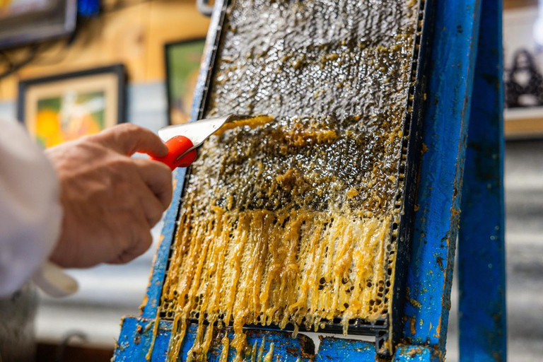 Queenstown: Beekeeping and Honey Spinning Experience
